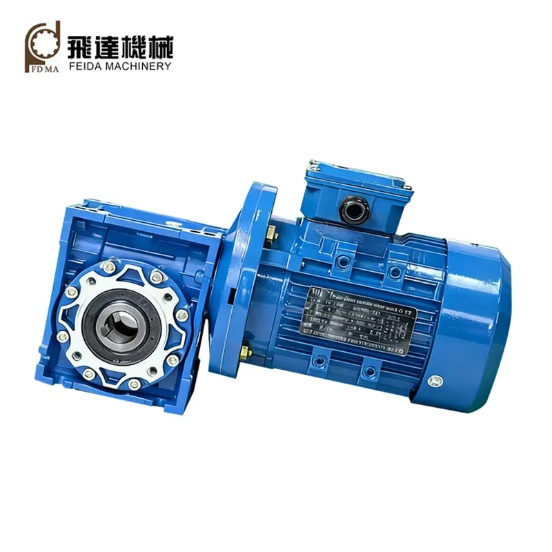 Laghdaitheoirí Worm Gear